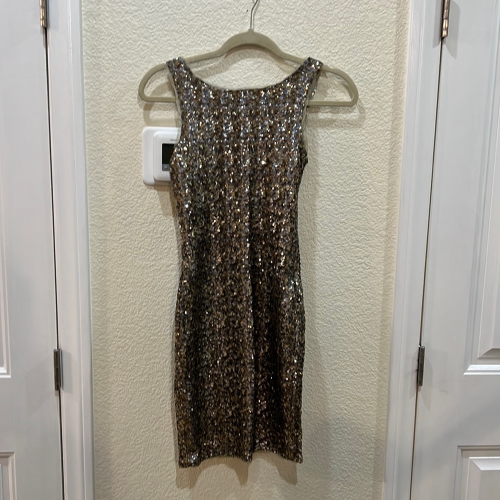 Zara “Trafaluc” Gold and Silver Sequin Dress